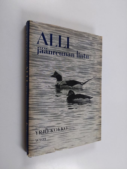 Yrjö Kokko : Alli - jäänreunan lintu