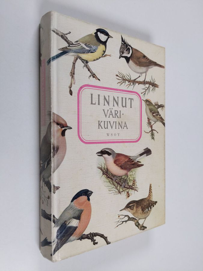 Linnut värikuvina