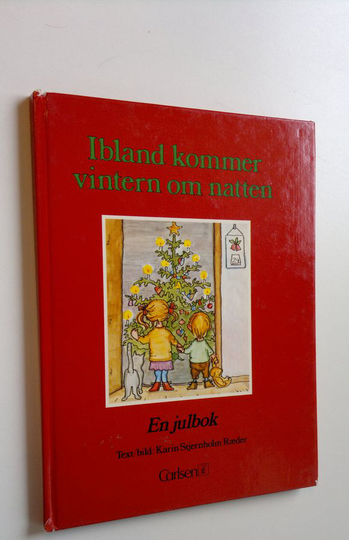 Karin Stjernholm Raeder : Ibland kommer vintern om natten