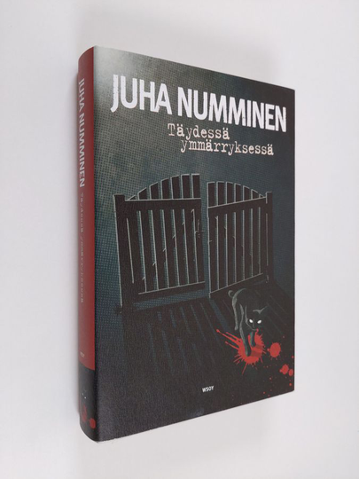 Juha Numminen : Täydessä ymmärryksessä