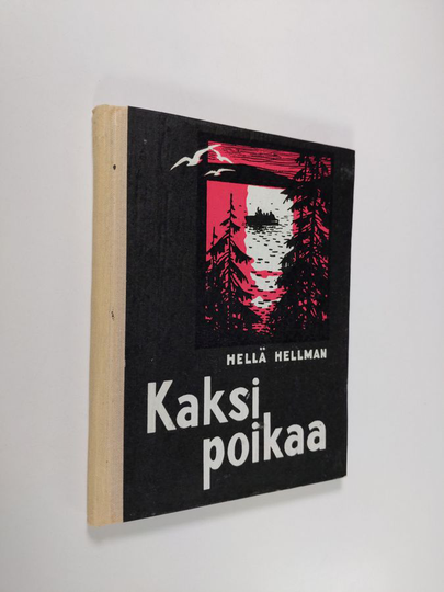 Hellä Hellman : Kaksi poikaa : pienoisromaani : kertomuksia