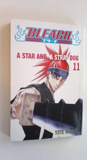 Tite Kubo : Bleach 11 - A star and a stray dog