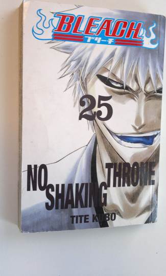 Tite Kubo : Bleach 25 - No shaking throne