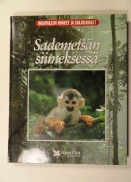 Linda Gamlin : Sademetsän siimeksessä