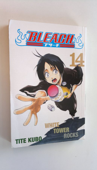 Tite Kubo : Bleach 14 - White tower rocks