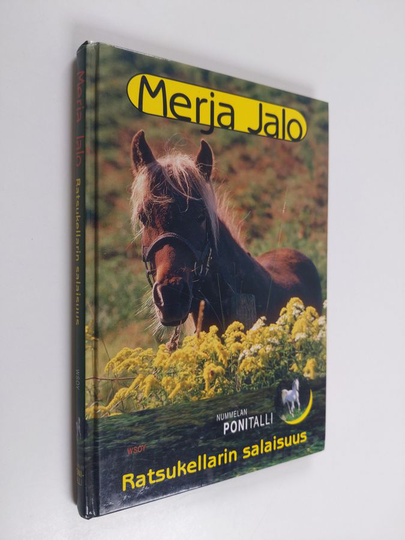 Merja Jalo : Ratsukellarin salaisuus