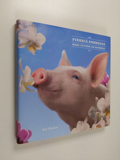 Bob Elsdale : Pinkkiä energiaa : miksi tyttönä on hauskaa!