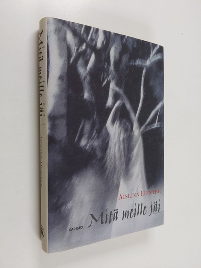 Aislinn Hunter : Mitä meille jäi : kertomuksia ja pienoisromaani