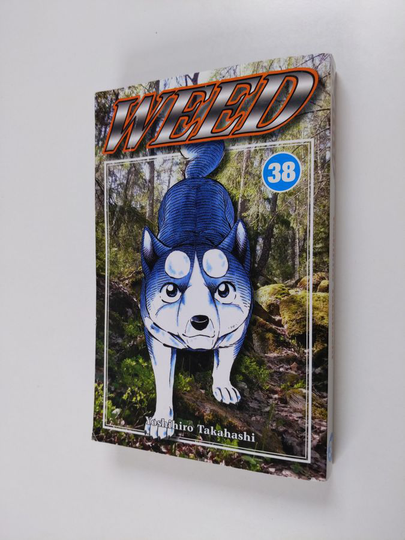 Yoshihiro Takahashi : Weed 38