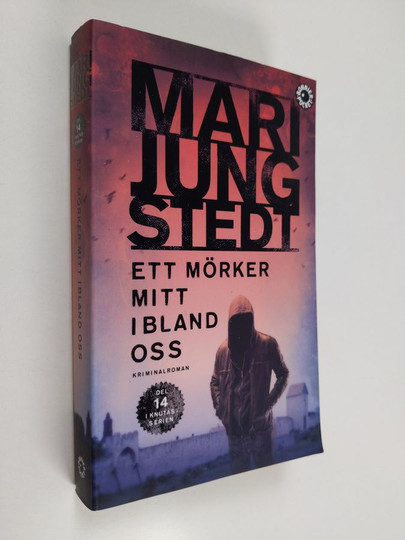 Mari Jungstedt : Ett mörker mitt ibland oss : kriminalroman