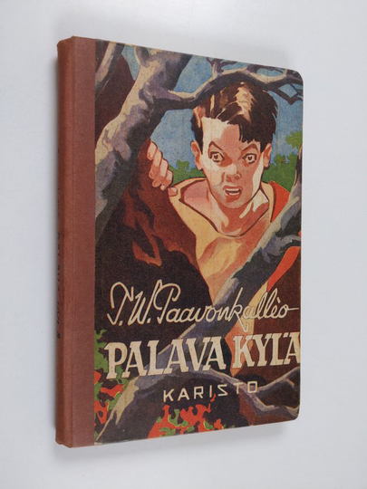 T. W. Paavonkallio : Palava kylä
