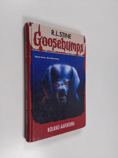 R. L Stine : Kolkko aavekoira