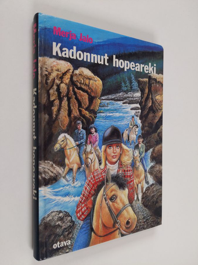 Merja Jalo : Kadonnut hopeareki
