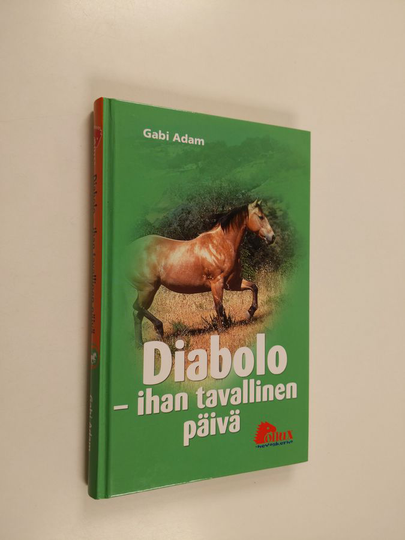 Gabi Adam : Diabolo : ihan tavallinen päivä