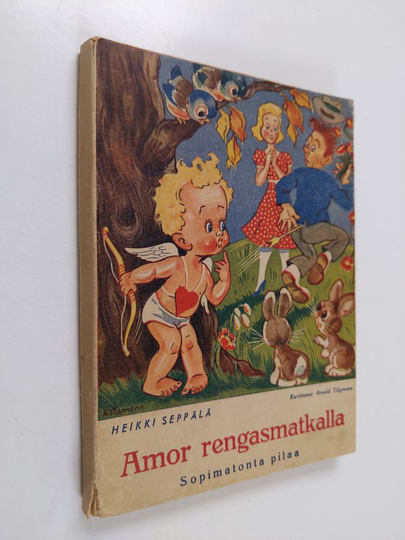 Heikki Seppälä : Amor rengasmatkalla