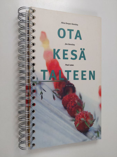 Nina Dreyer Hensley : Ota kesä talteen