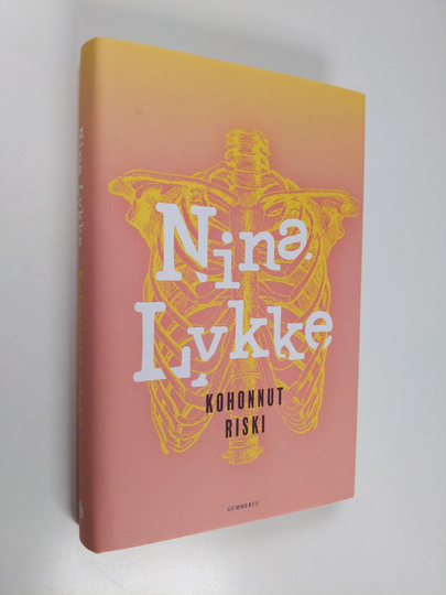 Nina Lykke : Kohonnut riski