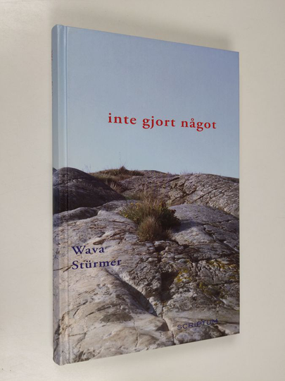 Wava Sturmer : Inte gjort något