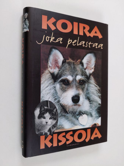 Philip Gonzales : Koira joka pelastaa kissoja : tositarina Ginnystä