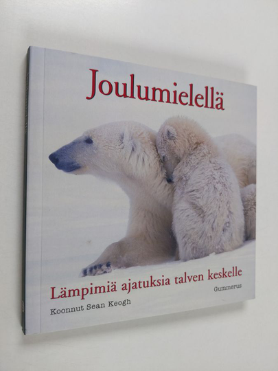 Joulumielellä : lämpimiä ajatuksia talven keskelle