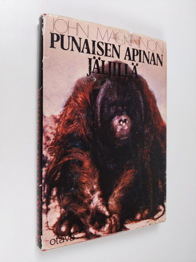 John MacKinnon : Punaisen apinan jäljillä