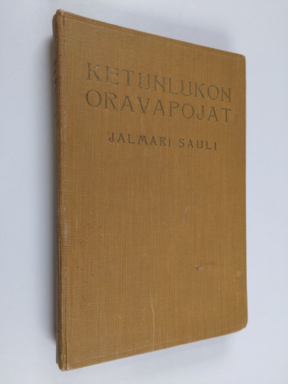 Jalmari Sauli : Ketunlukon oravanpojat : seikkailuja talvisella salolla