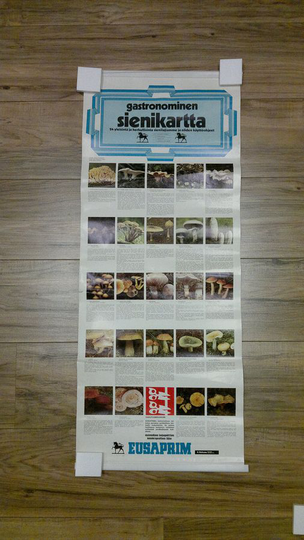 Gastronominen sienikartta - 24 yleisintä sienilajiamme ja niiden käyttöohjeet