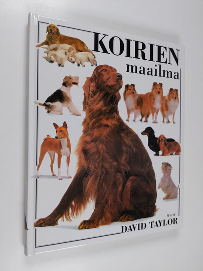 David Taylor : Koirien maailma