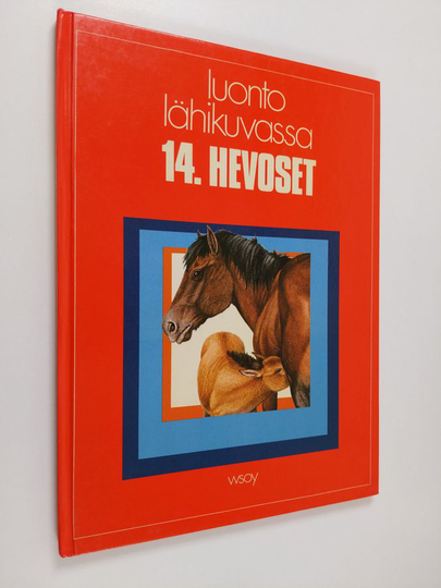 Neil Thomson : Hevoset