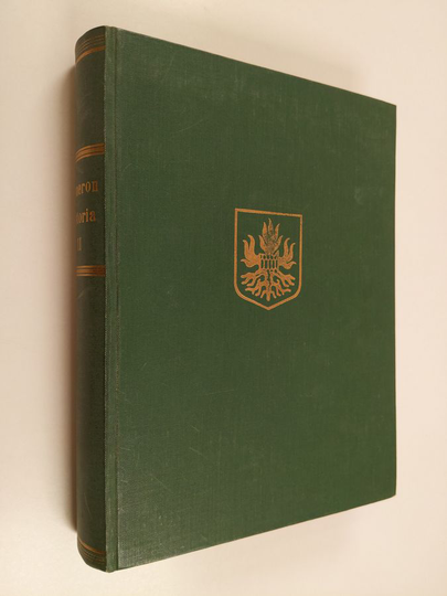 Someron historia 2