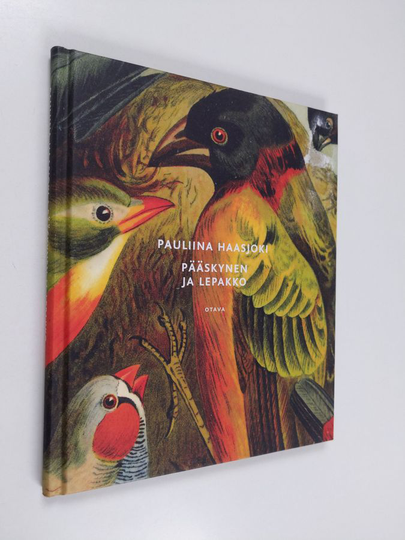 Pauliina Haasjoki : Pääskynen ja lepakko