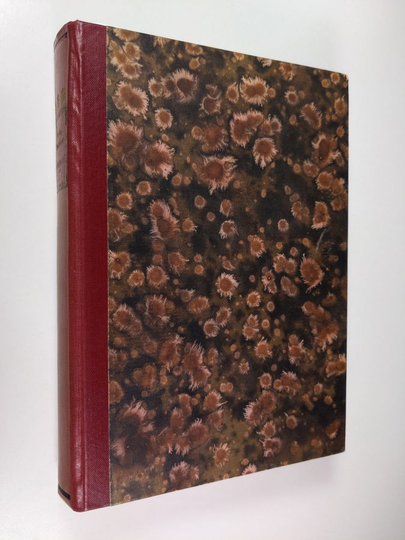 Vilho Sorvari : Hammurabi