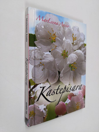 Marleena Ansio : Kastepisara