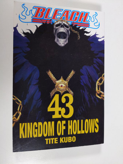 Tite Kubo : Bleach, 43 - Kingdom of hollows