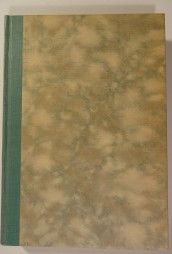R C Hutchinson : Äitipuoli : romaani