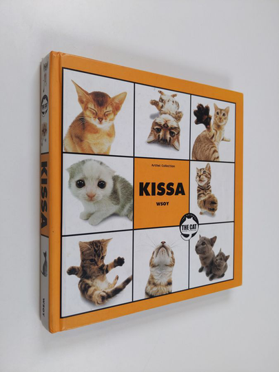 Kissa