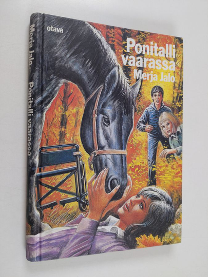 Merja Jalo : Ponitalli vaarassa : tyttöromaani