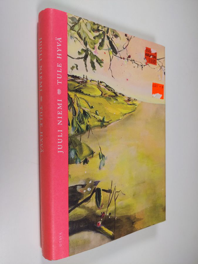Juuli Niemi : Tule hyvä : novelleja