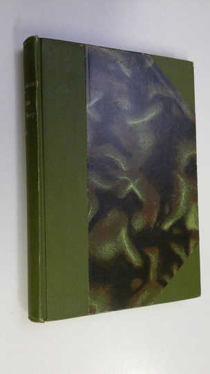 Wilhelm Meyer-Förster : Vanha Heidelberg (Karl Heinrich)
