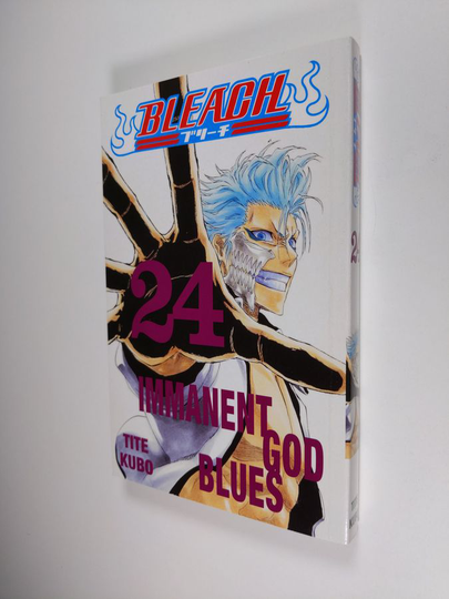 Tite Kubo : Bleach, 24 - Immanent god blues